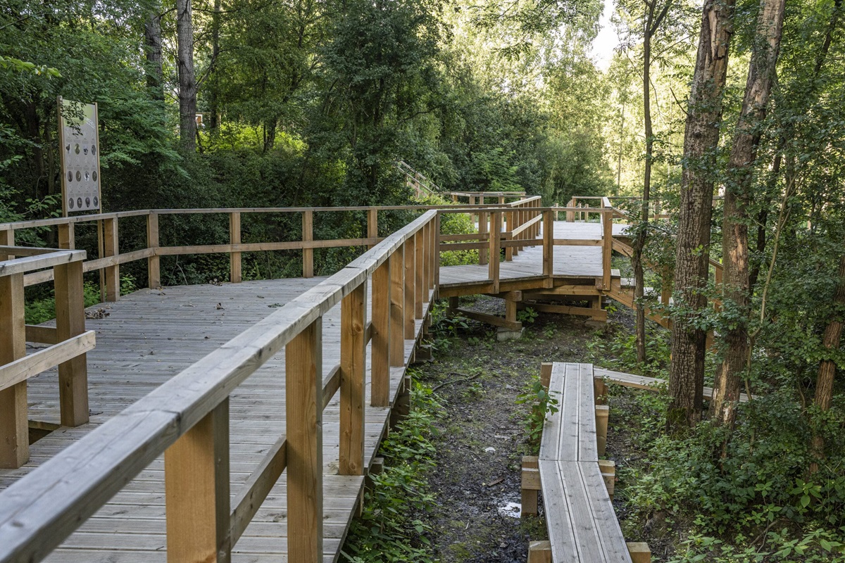 Majówka na łonie natury w zabrzańskim Geoparku!