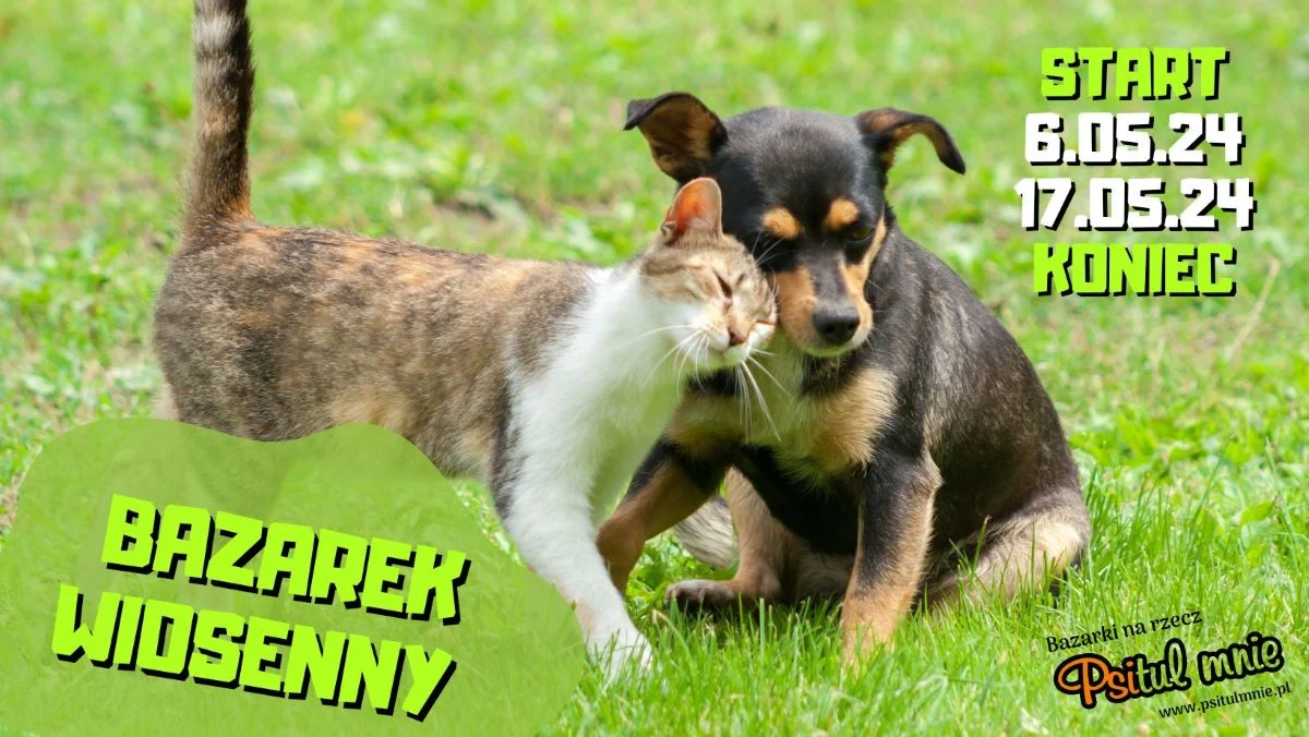 Wystartował "Bazarek Wiosenny" na rzecz Psitulmnie. Sprawdźcie, jak możecie pomóc!