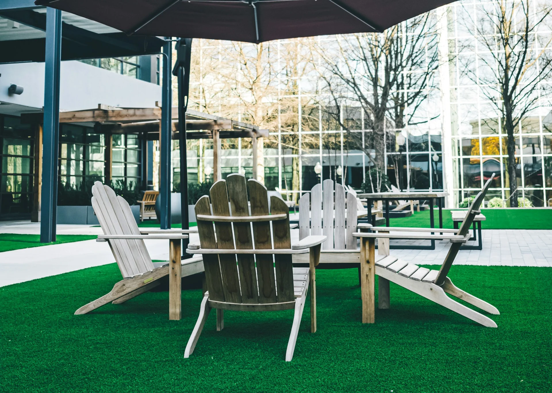 Zielona całoroczna przydomowa przestrzeń