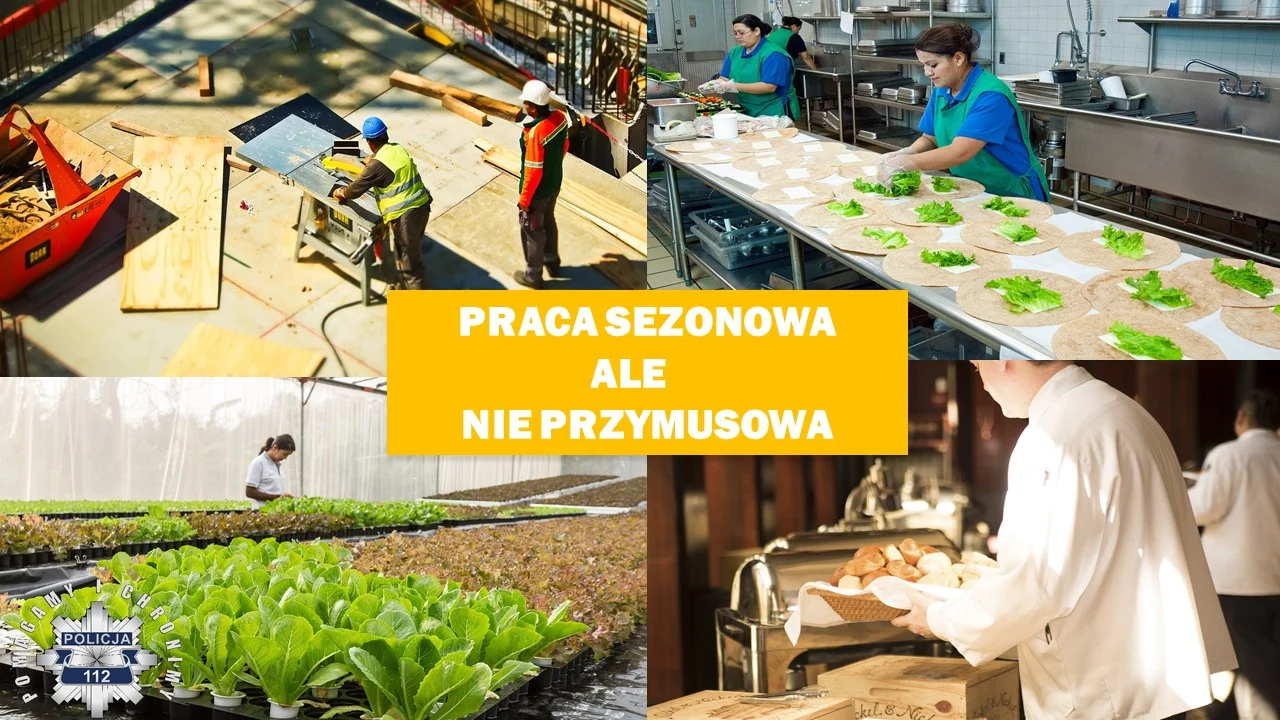 Praca sezonowa - jak nie stać się ofiarą handlu ludźmi!