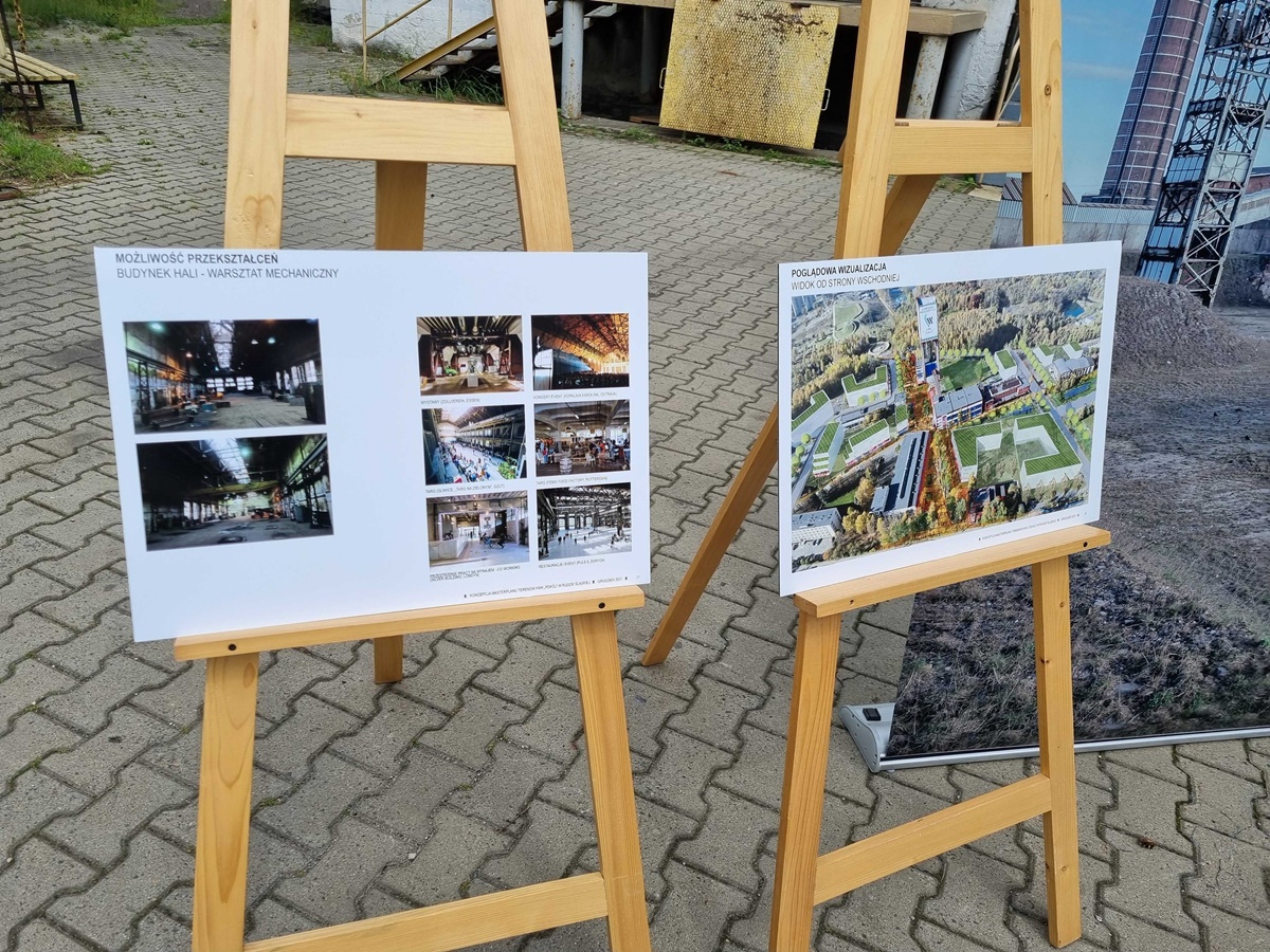 Tereny po kopalni "Pokój" 3