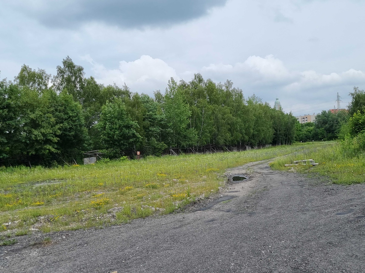 Tereny po kopalni "Pokój" 16