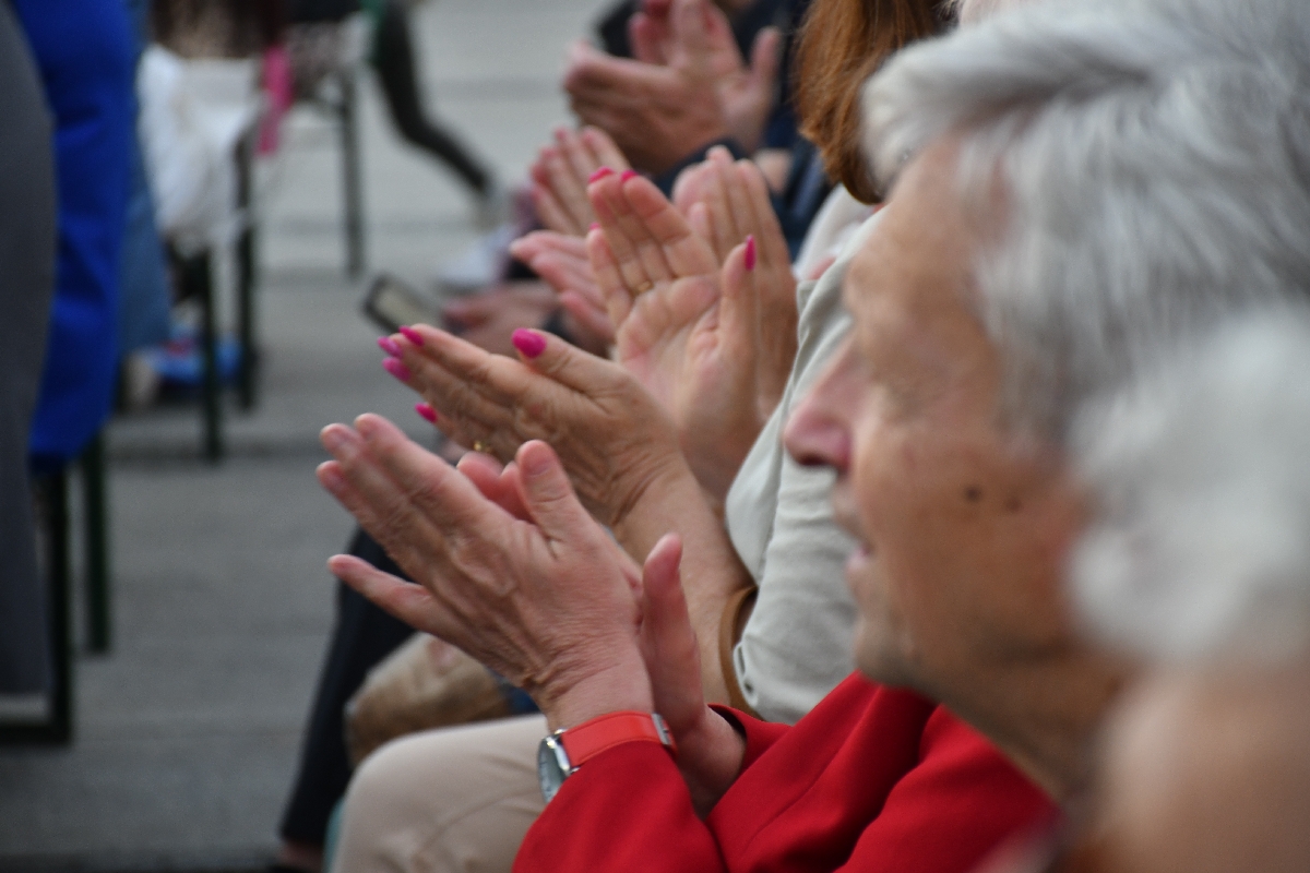 Dni Rudy Śląskiej - Święto Herbu 29