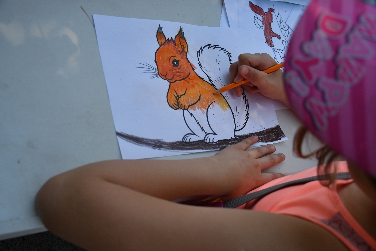 4. Bieg Wiewiórki 33