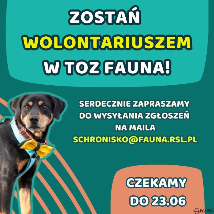 „Fauna” otwiera nabór na wolontariuszy