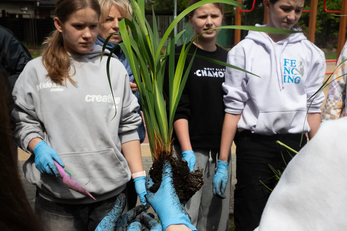 Metropolia zachęca do zakładania ogrodów deszczowych i zaprasza do udziału w projekcie
