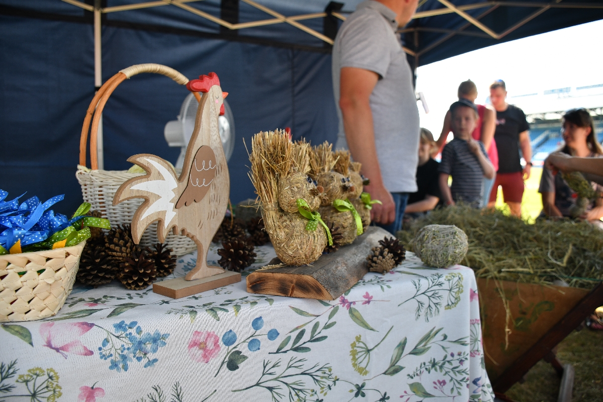 24 Dni Chorzowa Festyn & Mecz (64).jpg