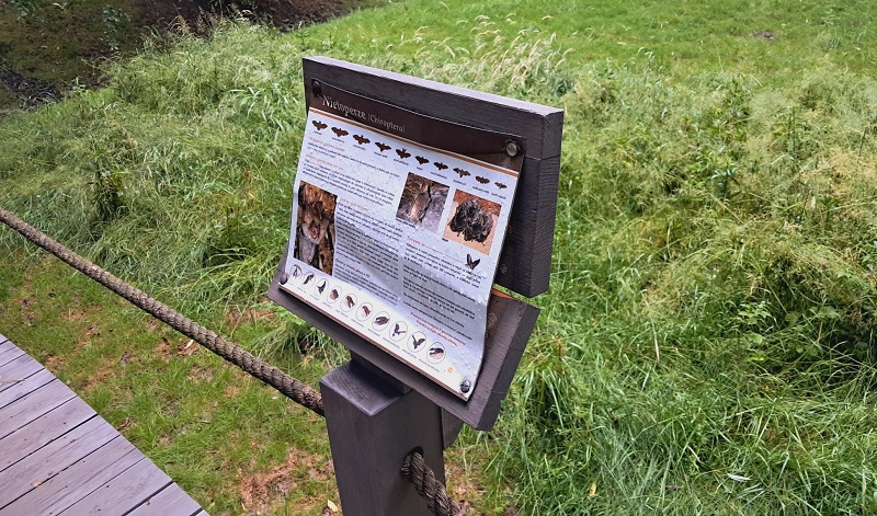 Wandale po raz kolejny zniszczyli kładkę edukacyjną