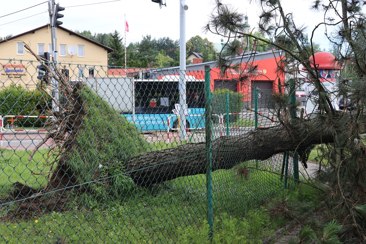 Wodzisław Śląski po nawałnicy: Strażacy walczą ze szkodami, brakuje prądu!