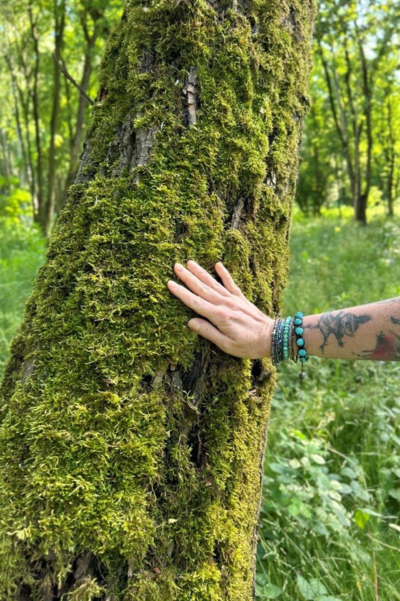 Kąpiele Leśne w Mysłowicach 40