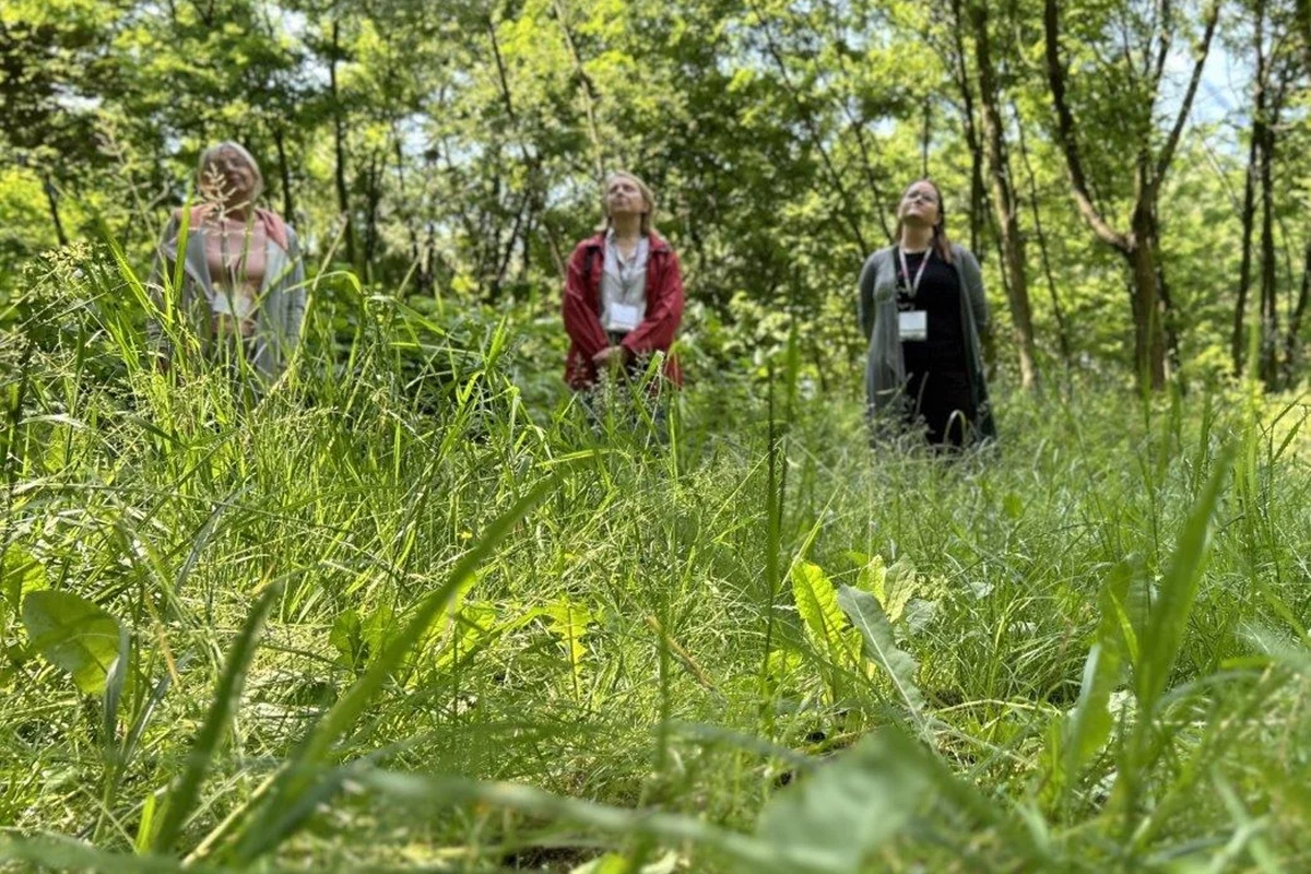 Doświadczały natury wszystkimi zmysłami. Kąpiele leśne w Mysłowicach [GALERIA]