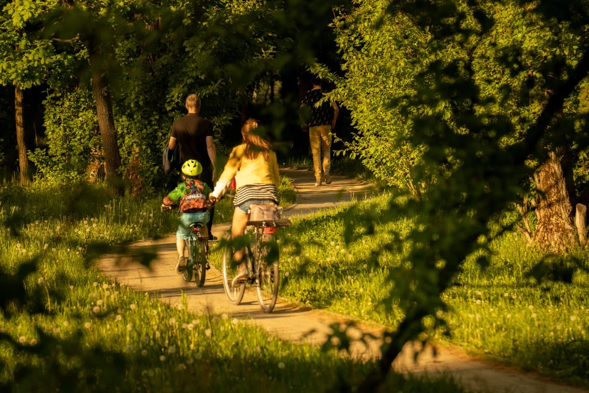 Tychy celebrują Święto Roweru! 16 czerwca odbędą się obchody z mocą atrakcji