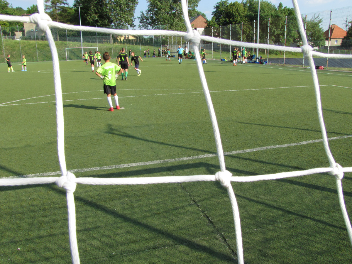 Nabór na animatora sportu