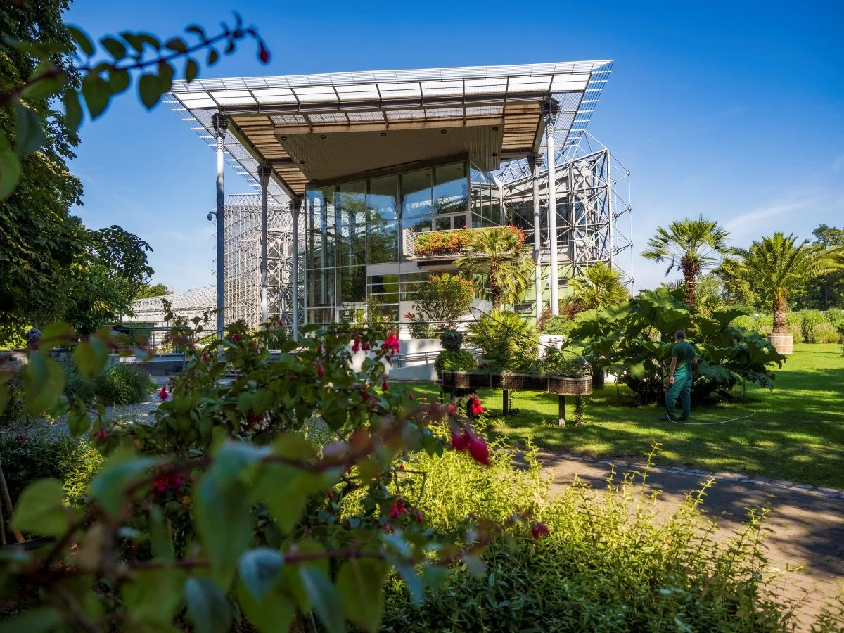 To już ostatnia szansa na odwiedzenie gliwickiej Palmiarni przed przerwą technologiczną