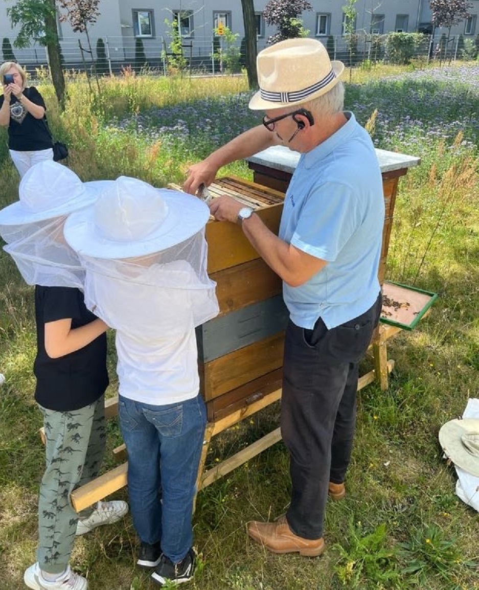 W Gliwicach mamy coraz więcej pszczół!