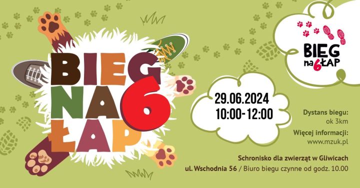 Ruszyły zapisy na „Bieg na 6 łap”. Sprawdźcie szczegóły!