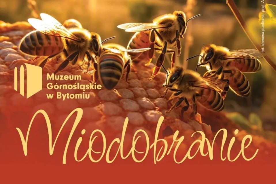 Przed nami Miodobranie z Markiem Kulawikiem!