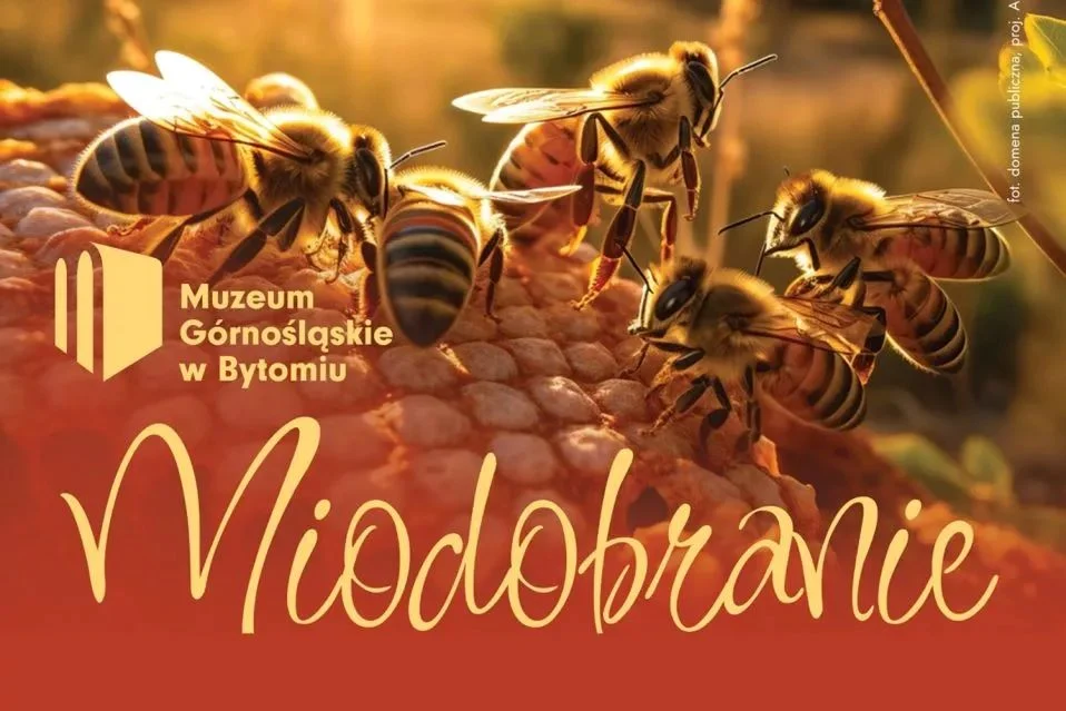 Przed nami Miodobranie z Markiem Kulawikiem!