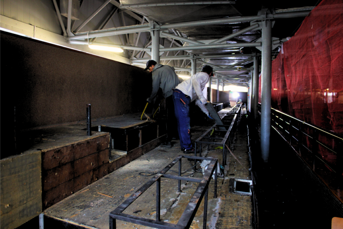 Modernizacja Spodka trwa. Będą dodatkowe trybuny dla kibiców i wzmocniony dach