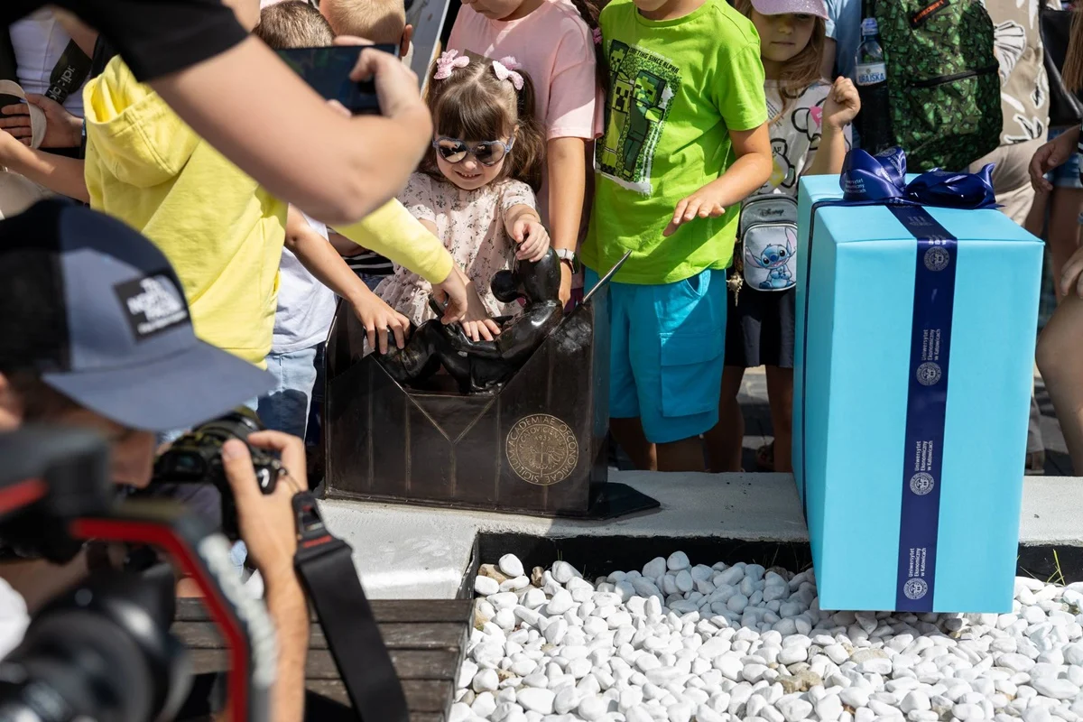 Nowy bebok w Katowicach stanął pod Uniwersytetem Ekonomicznym i potrzebuje imienia!