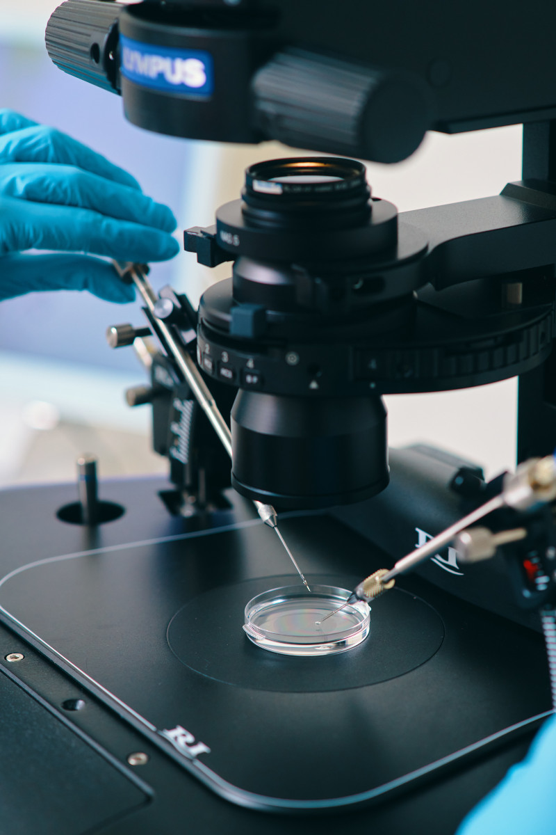 Rządowe finansowanie in vitro wspiera niepłodne pary