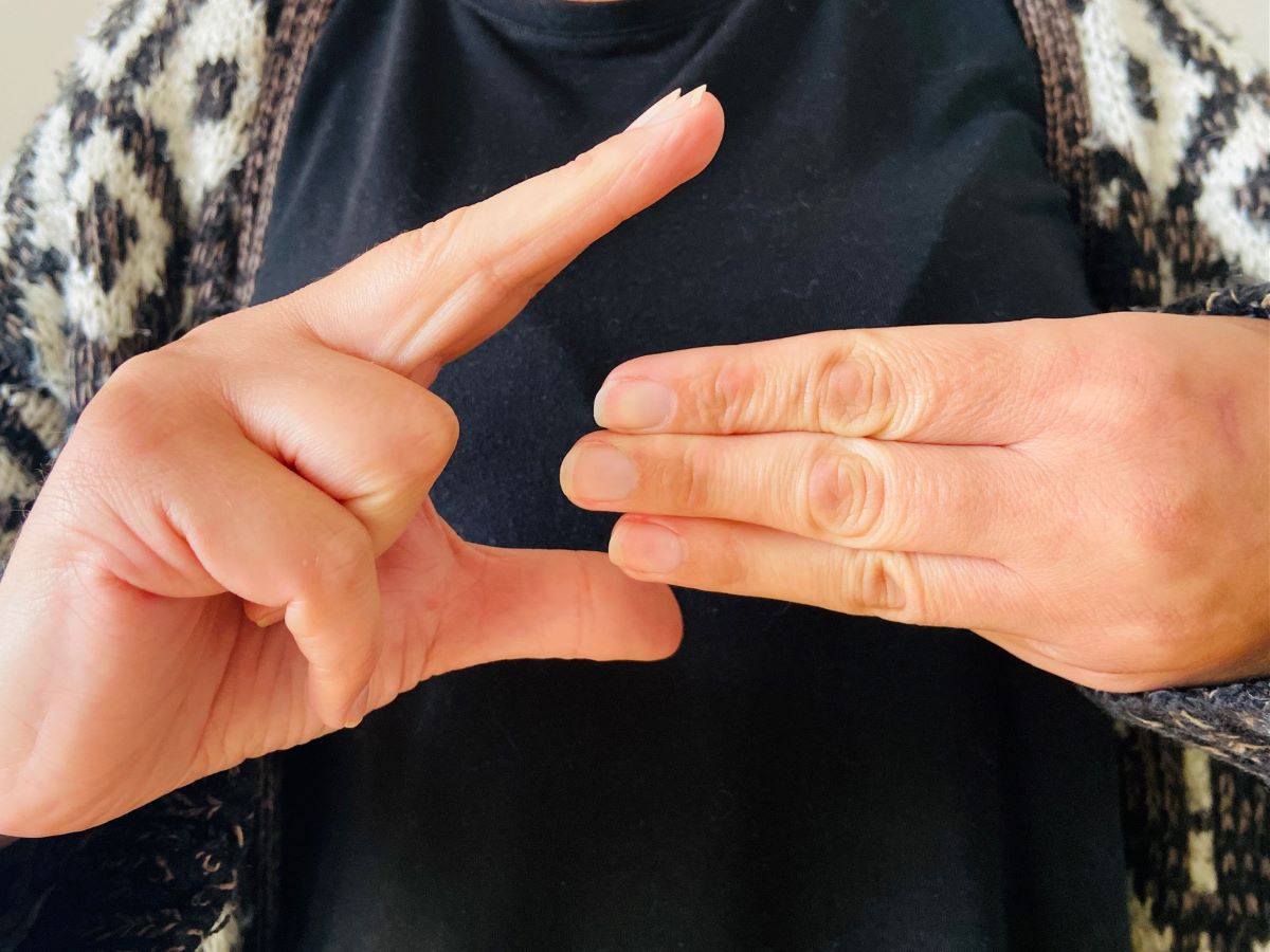 Znak migowy chorzowskiego skansenu wyłoniony