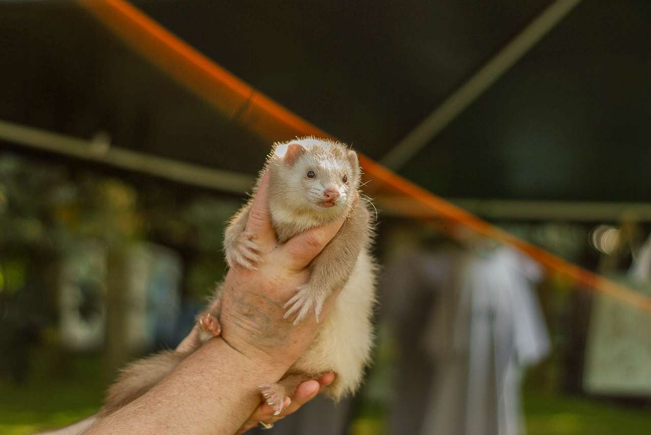 Za nami Zwierzynalia 2024 [FOTORELACJA]