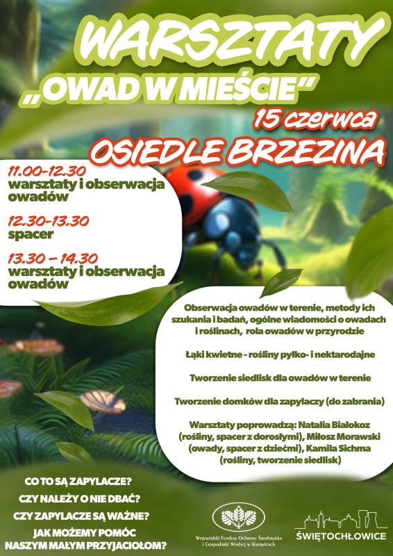 Warsztaty ekologiczne “Owad w mieście”. Odkryj świat owadów w Świętochłowicach!