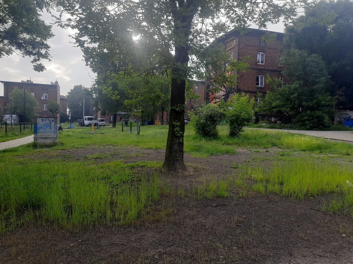 Chropaczów otrzyma zieloną inwestycję! Wybrano skwer przy ul. Łagiewnickiej
