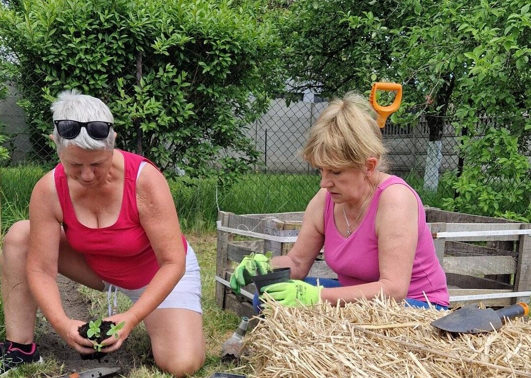 Zabrze ma społeczny ogród!