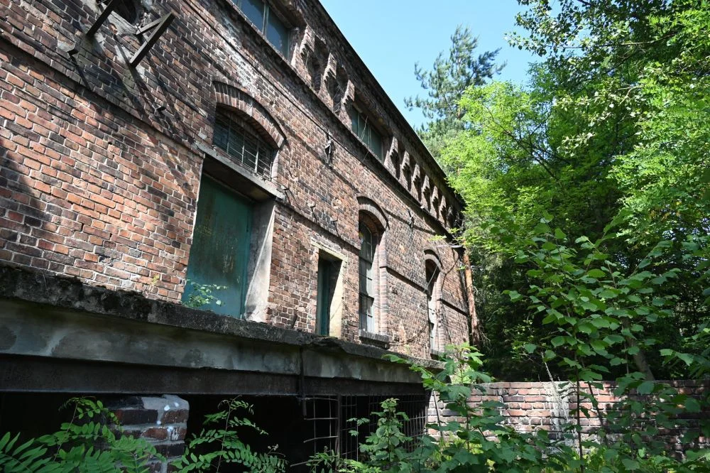 Niezwykłe odkrycie w szybie „Franciszek”!