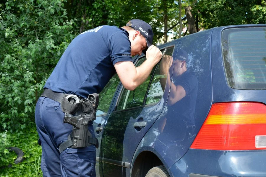 Nagrzane wnętrze samochodu może nieść śmierć