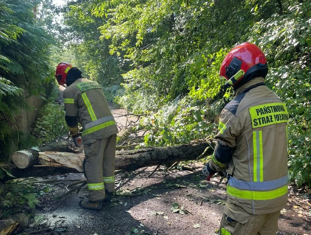 Bilans wyładowań atmosferycznych w Rudzie Śląskiej. Nie obyło się bez interwencji