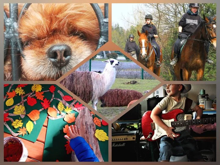 Stowarzyszenie Otwarte Serca walczy z wykluczeniem i rehabilituje niepełnosprawnych