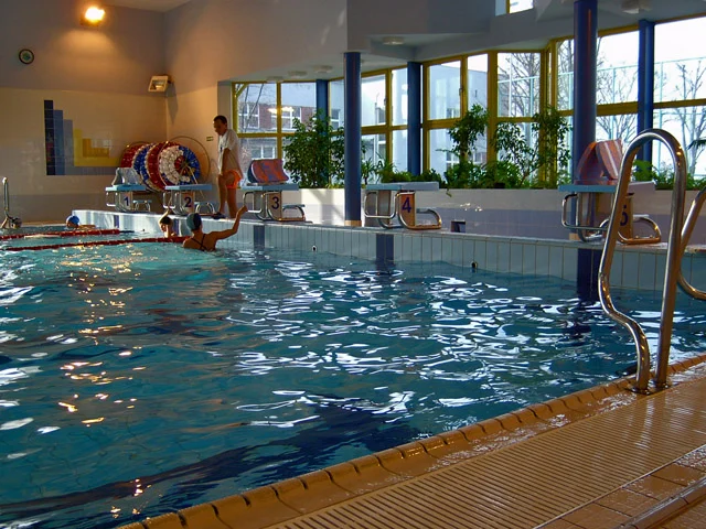 Baseny w Rudzie Śląskiej 7