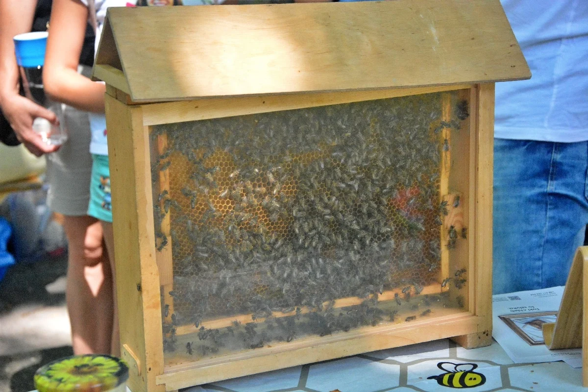 Czwarty Ogród Śniadaniowy 2024 76