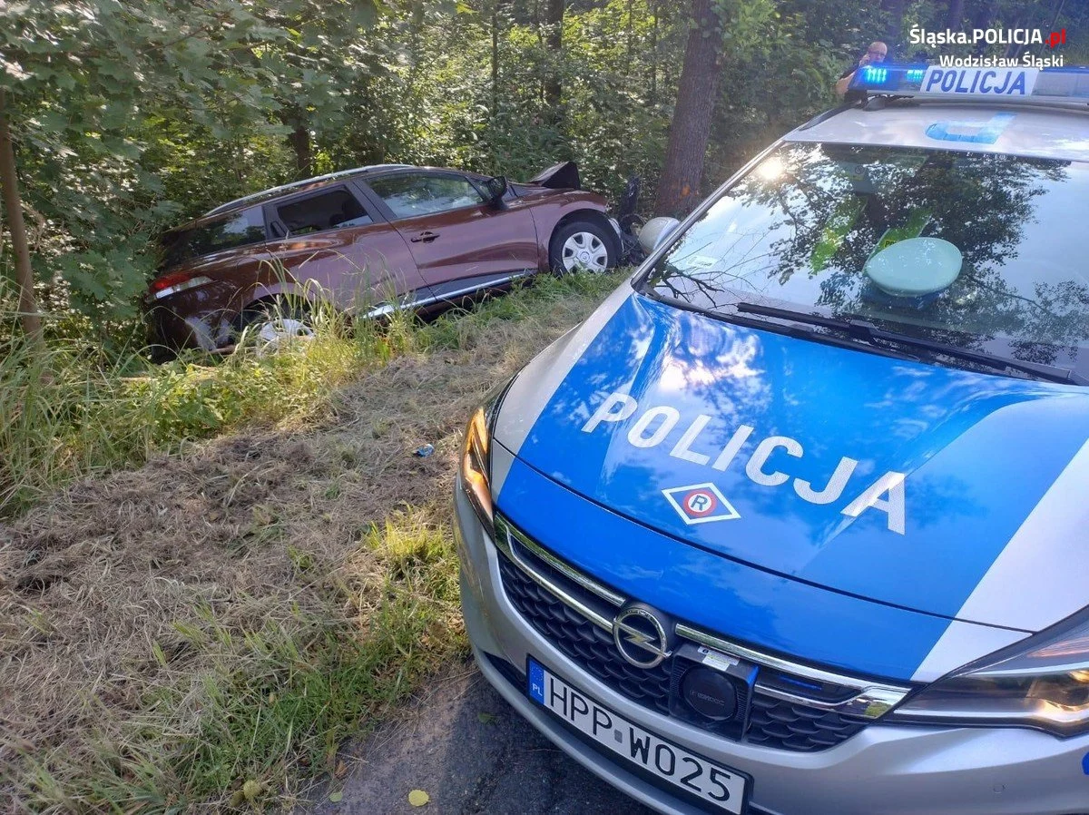 53-latek kierując schylił się do torby i uderzył pojazdem w drzewo