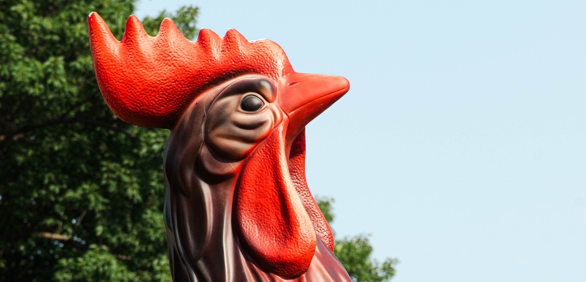 W niedzielę odbędzie się festyn integracyjno-rodzinny w Kokoszycach!