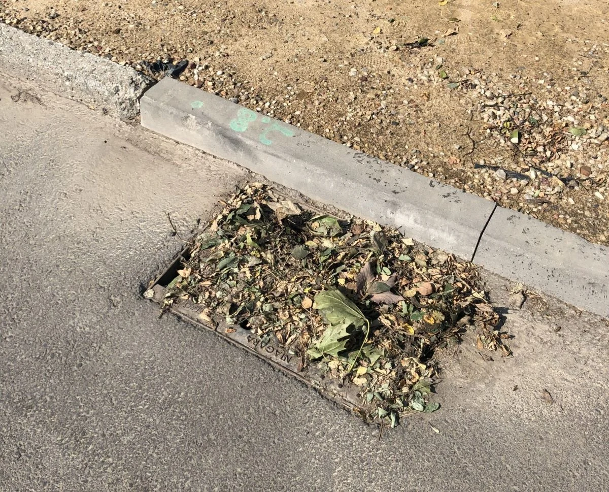 Zabezpieczaj, usuwaj, oczyszczaj. Apel o dbałość o bezpieczeństwo przeciwpowodziowe