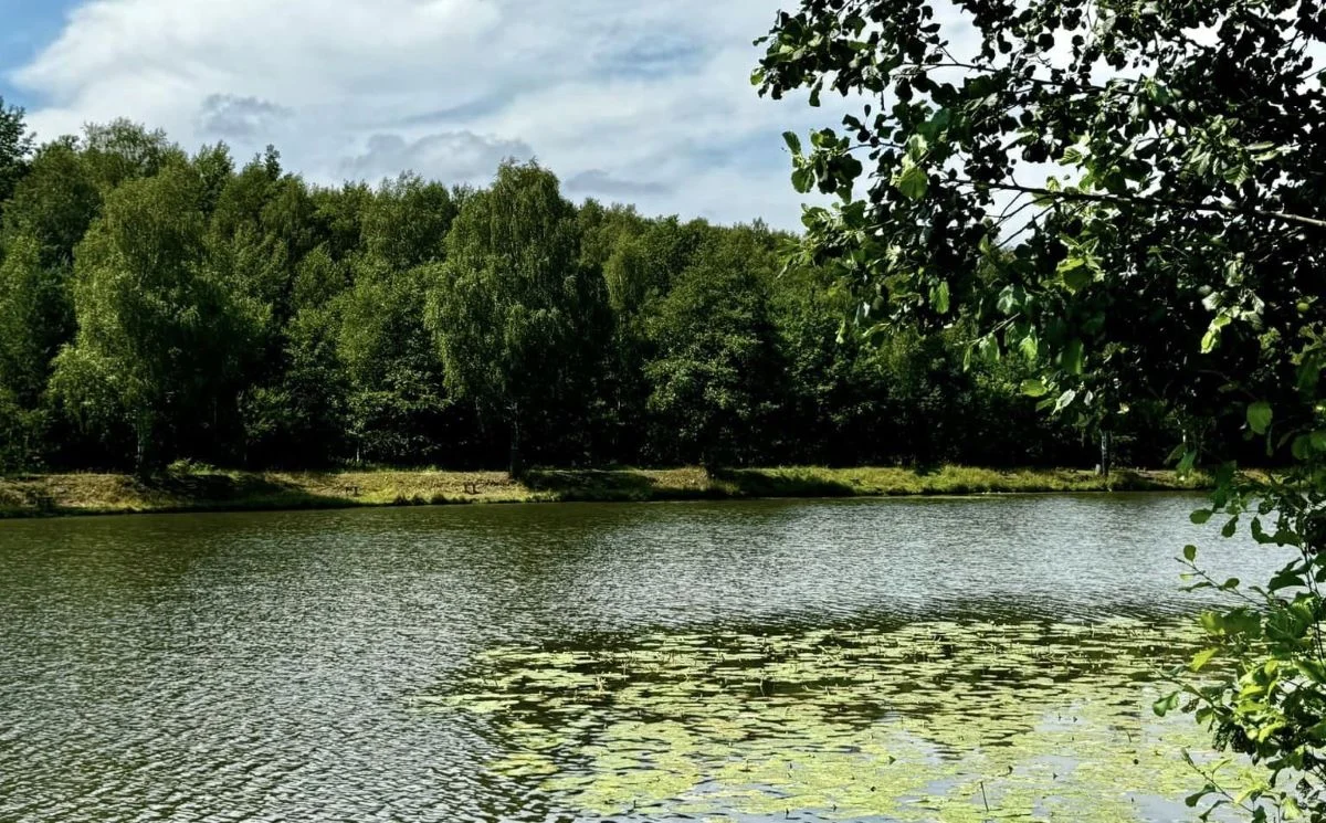 Mieszkańcy Mysłowic oczyścili plażę i zadbali o teren Zalewu Wesoła!