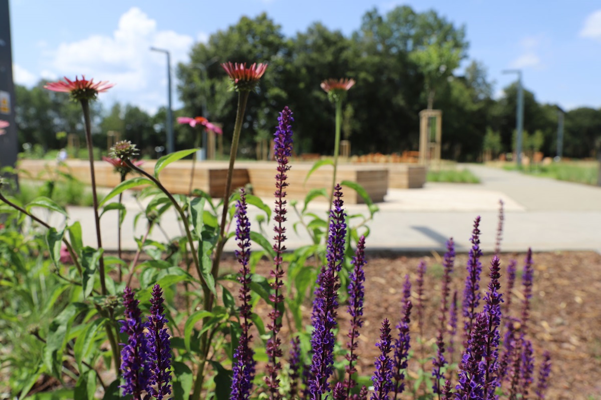 Przemiana miejskiego parkingu. Otwarcie nowego skweru rekreacyjnego