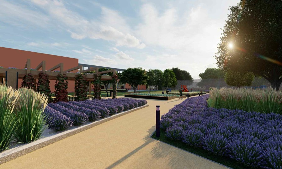 Zielony Zagajnik Wiedzy powstanie w Szkole Podstawowej nr 2 w Orzeszu