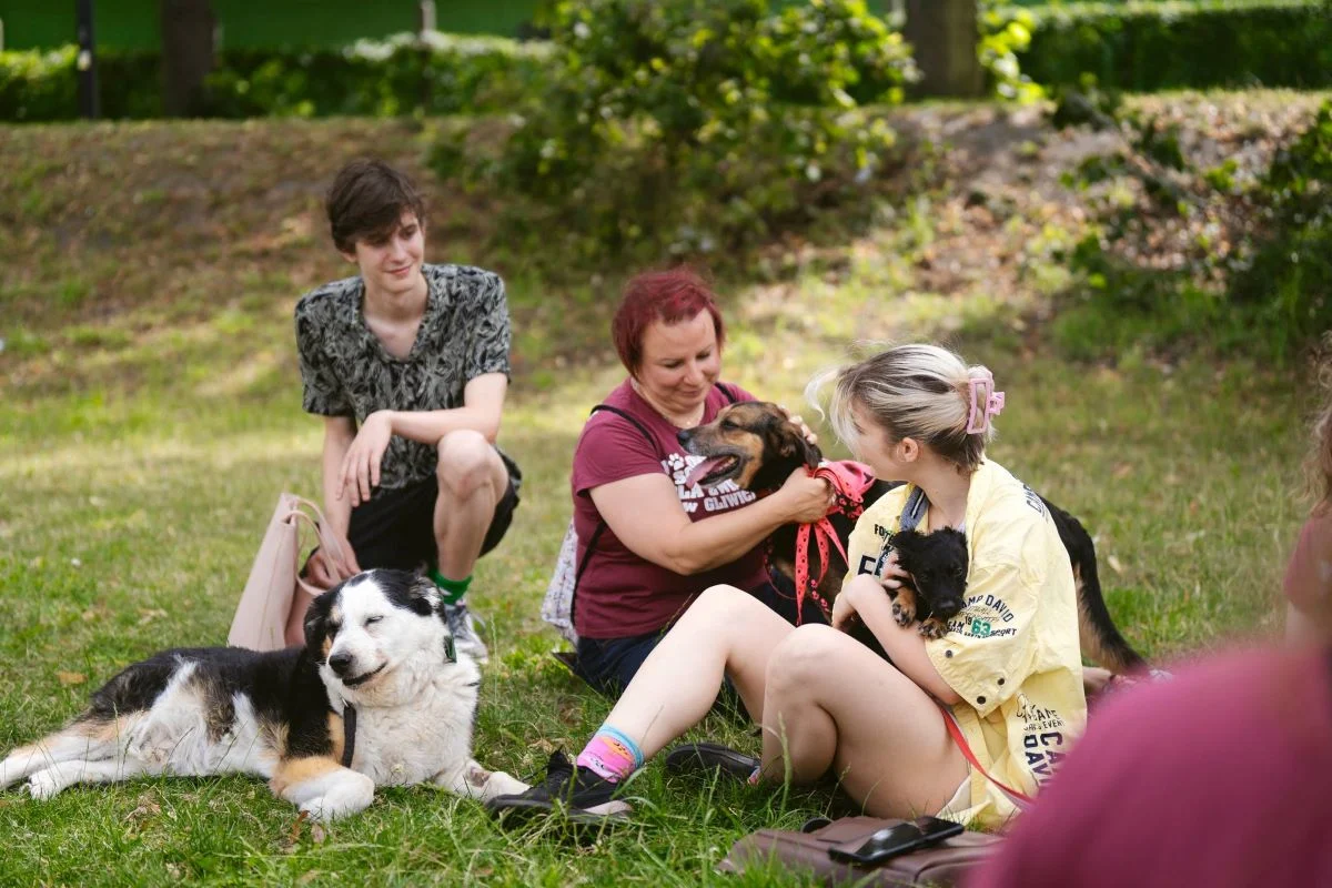 Za nami kolejna edycja akcji „Adoptuj mnie”