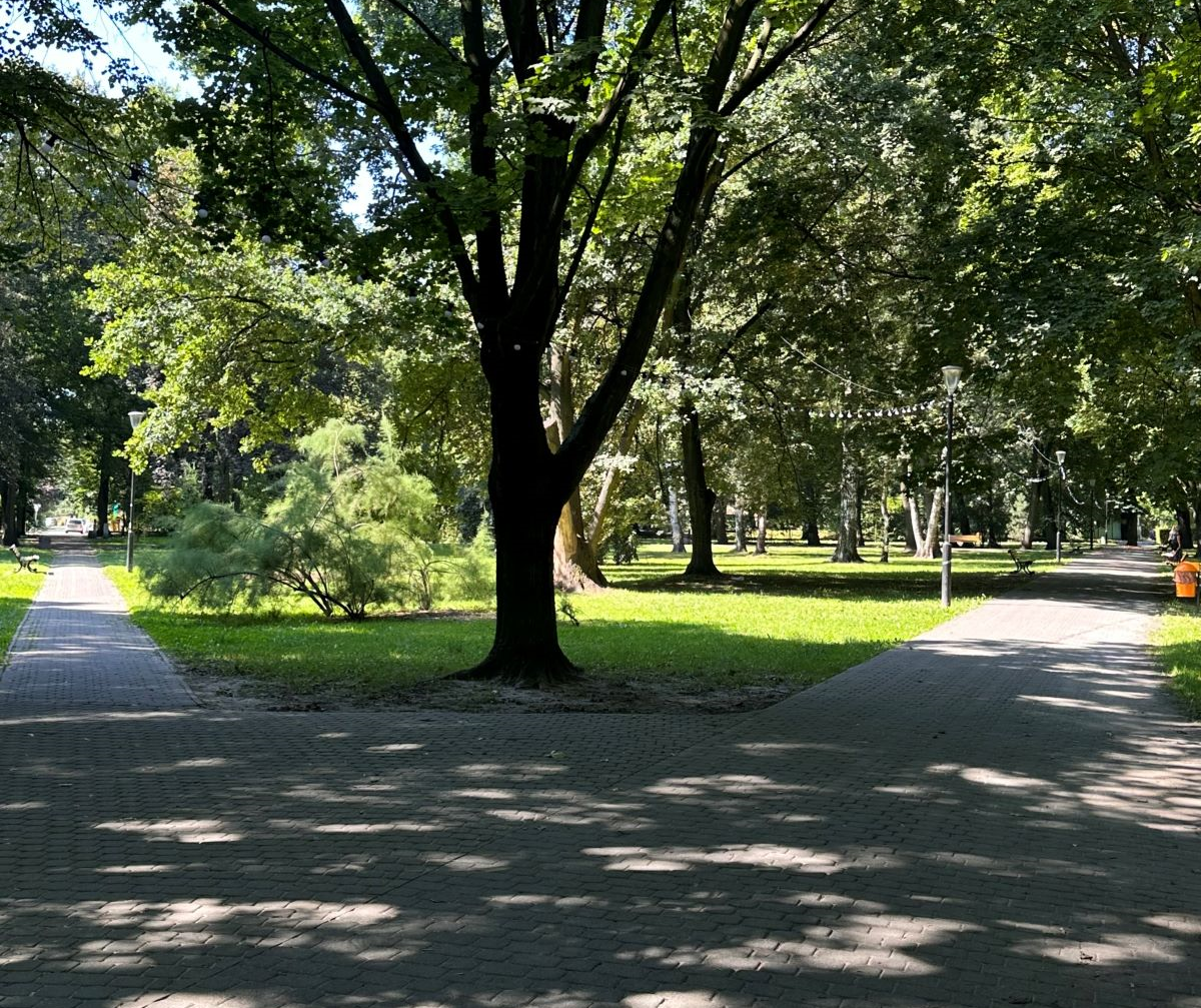 Rozpoczyna się budowa nowego okrąglaka i restauracji parkowej!