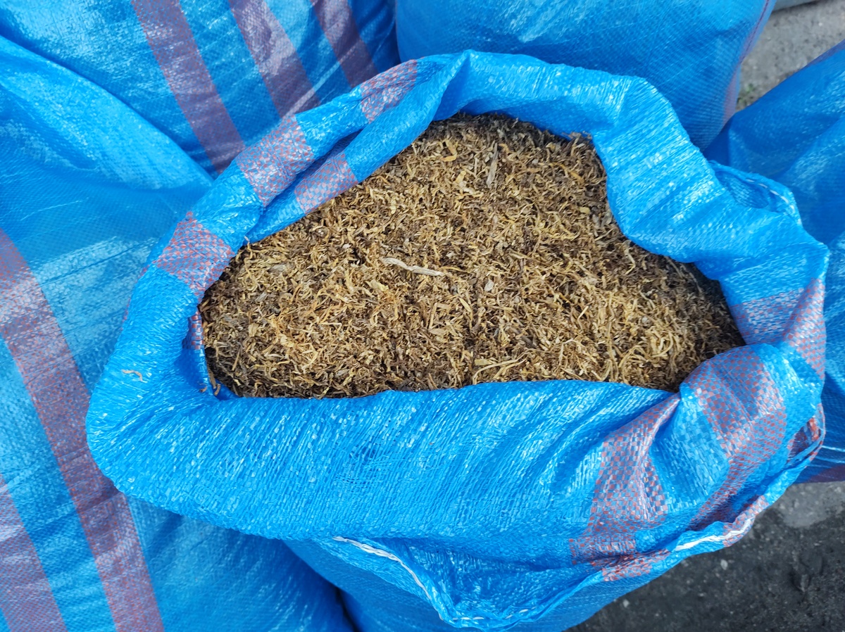 70-letni mężczyzna trzymał w mieszkaniu 105 kg nielegalnego tytoniu!