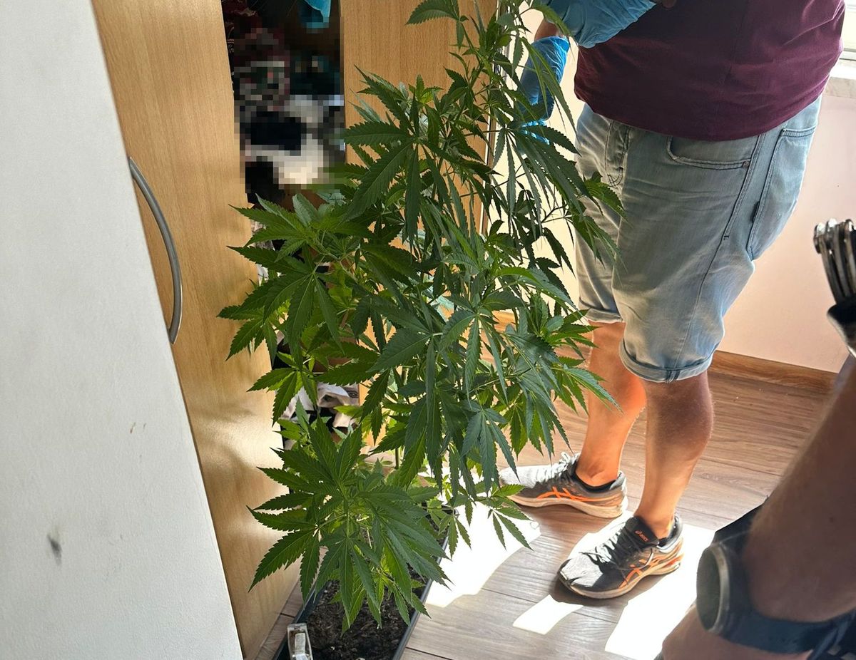 Bytom: Zatrzymanie mężczyzny za przemoc i posiadanie narkotyków