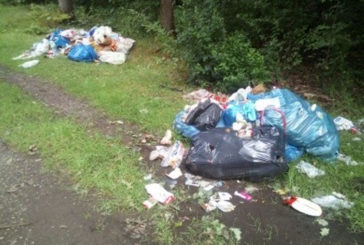 Wyrzucił śmieci do lasu i skończył z mandatem w wysokości 500 złotych