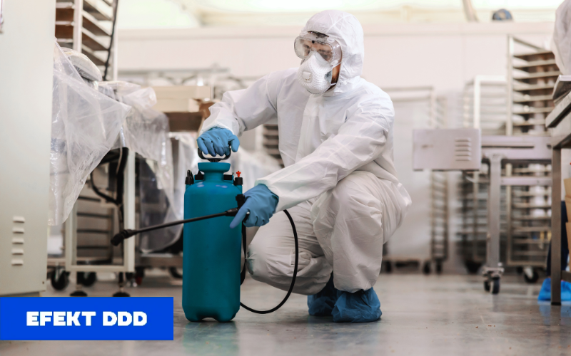 Bezpieczeństwo żywności – rola DDD w procesie produkcyjnym