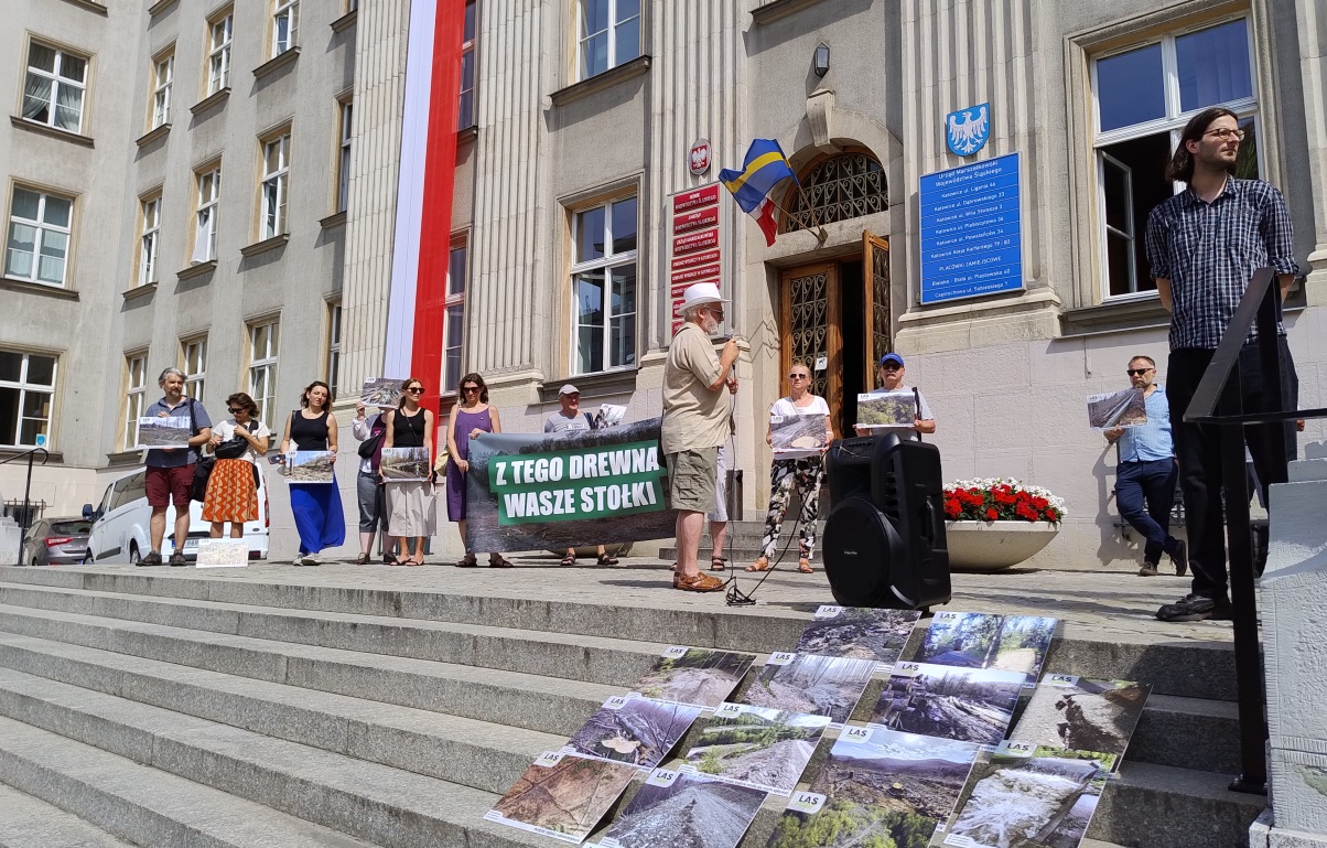 Dwa protesty ws. ochrony lasów. Kto ma rację?