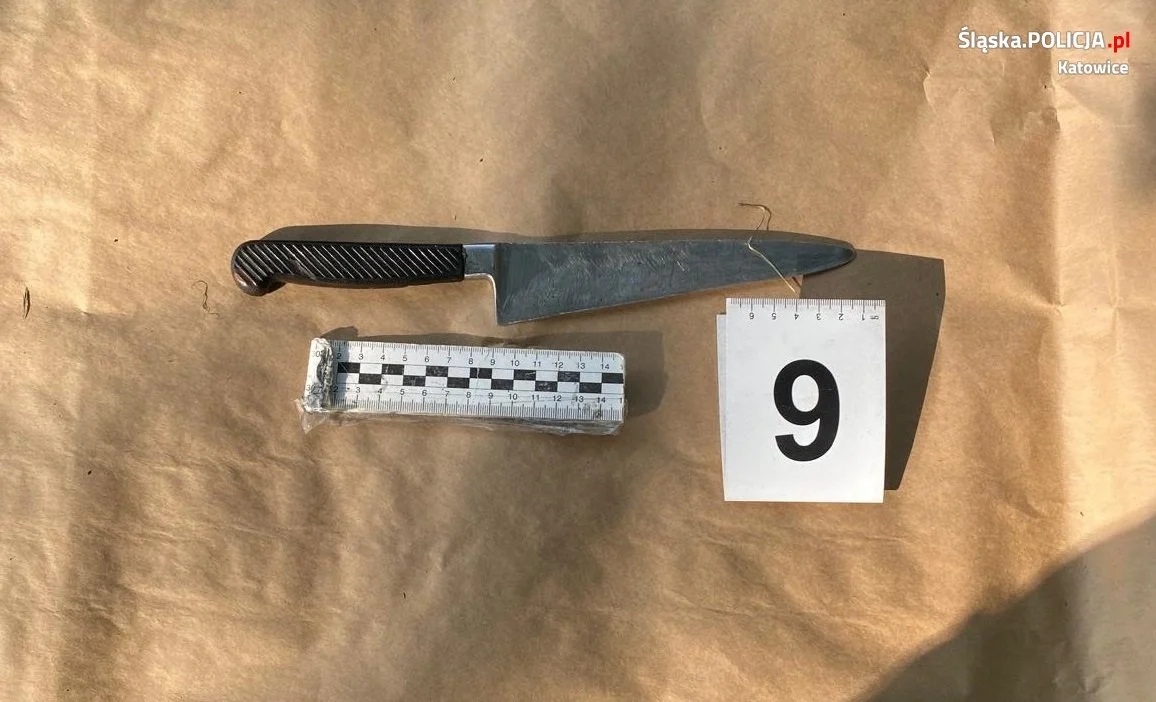 Podejrzany o zabójstwo kolegi został zatrzymany w Katowicach